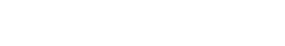 FASHION LEADERS